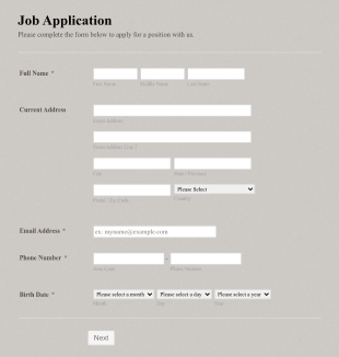Generic Job Application Form Template