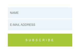 Mini Subscribe Form Template