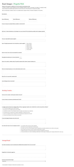 Modulo Di Richiesta Per Progetto Web Form Template