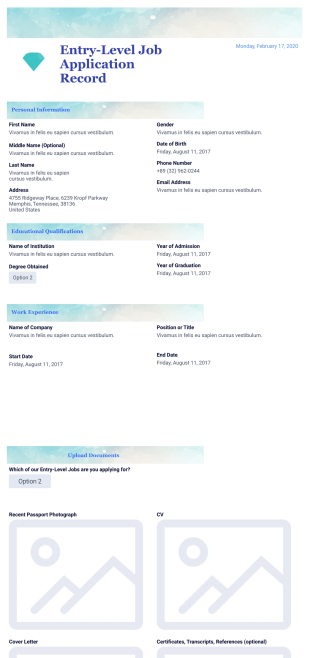 Entry-Level Job Application Record - PDF Templates