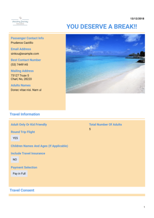 Travel Booking Form - PDF Templates