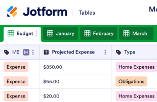 Monthly Budget Template