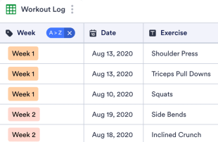 Workout Log Template